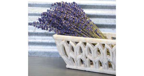 Dried Natural Lavender Bouquet (100g) – Wabi Aesthetic