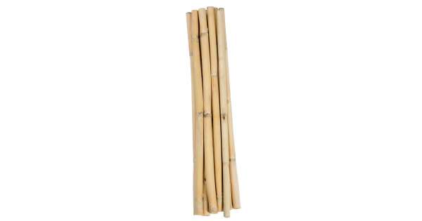 Dried Bamboo Sticks - Natural Bamboo Stalks and Shoots