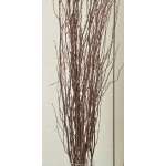 Decorative Birch Branches For Sale