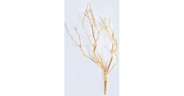 Dried Manzanita Branches - Painted Gold, Silver, White Manzanita