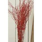 Sweet Huck Branches - Fire Red Huge 8oz Huckleberry bunch