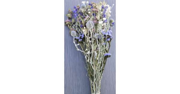 Dried Flower Blue Bouquet Garden Bunch