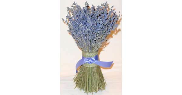 Dried Lavender Bunch - Grosso (French) - Long Stem Single Bunch by Dried Decor